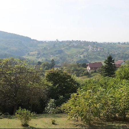 VrtlinovecKuca Za Odmor Magdalena别墅 外观 照片